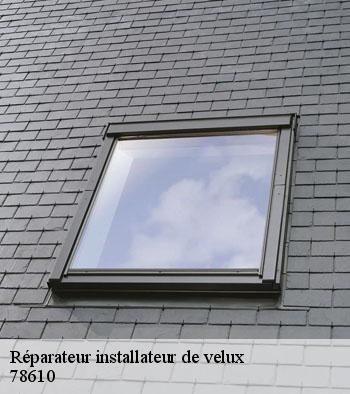 Réparateur installateur de velux